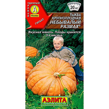 Тыква Небывалый размах Аэлита Ц