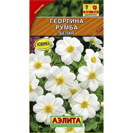 Георгин Румба белая Аэлита Ц 