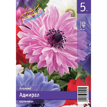 Анемона Адмирал 5/6 5 Эконом шт 