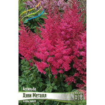 Астильба Хэви Металл 2/3 n 25 шт Биг-пак 16333