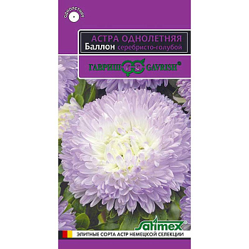 Астра Баллон серебристо-голубой Гавриш Ц 