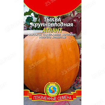 Тыква Атлант Плазма Ц
