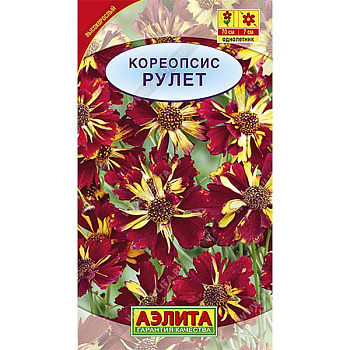 Кореопсис  Рулет Аэлита Ц 