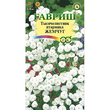 Тысячелистник Жемчуг белый Гавриш Ц 