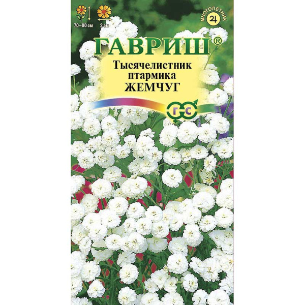 Тысячелистник Жемчуг белый Гавриш Ц 