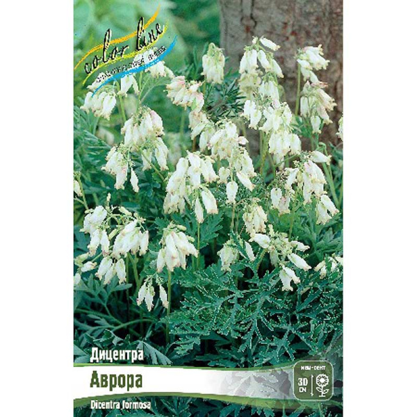 8409 Биг-пак Дицентра Аврора I 25 шт