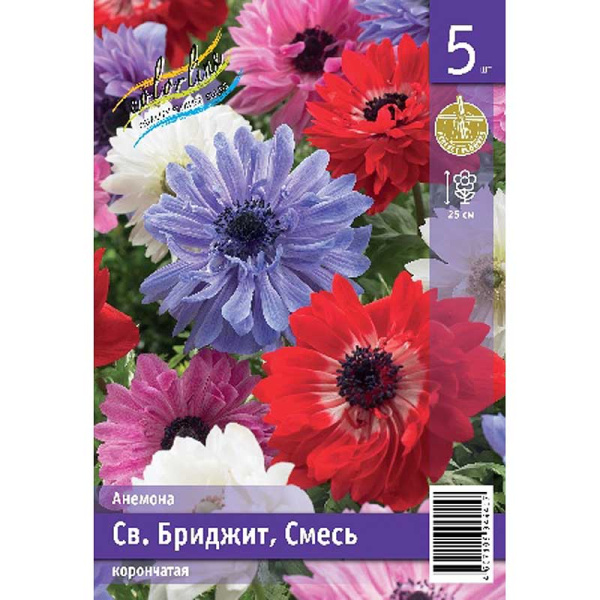 Анемона Св.бриджит, Смесь 5/6 5 Эконом шт 