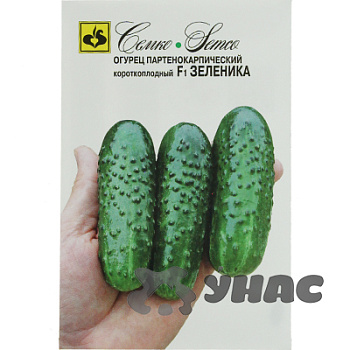 Огурец Зеленика Семко Ц