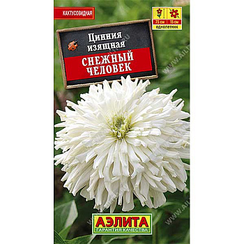 Циния Снежный человек кактусовидная Аэлита Ц х10 
