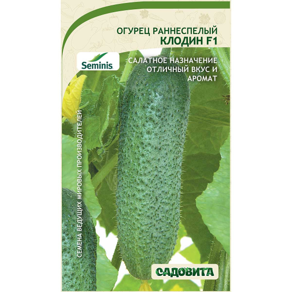 Огурец Клодин F1 5шт Seminis/Садовита Ц