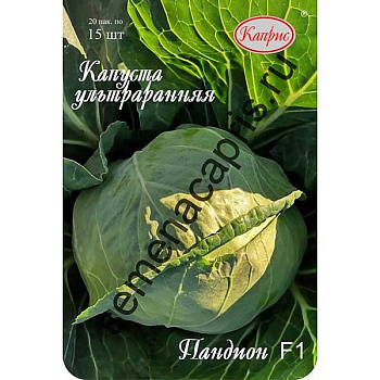 Капуста Пандион Каприс
