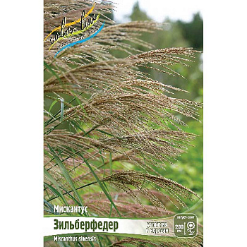 Мискантус Зильберфедер 2/3 25 шт Биг-Пак 16257