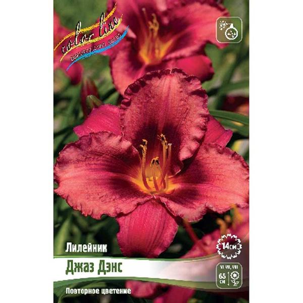 Лилейник Джаз Дэнс I 1 шт