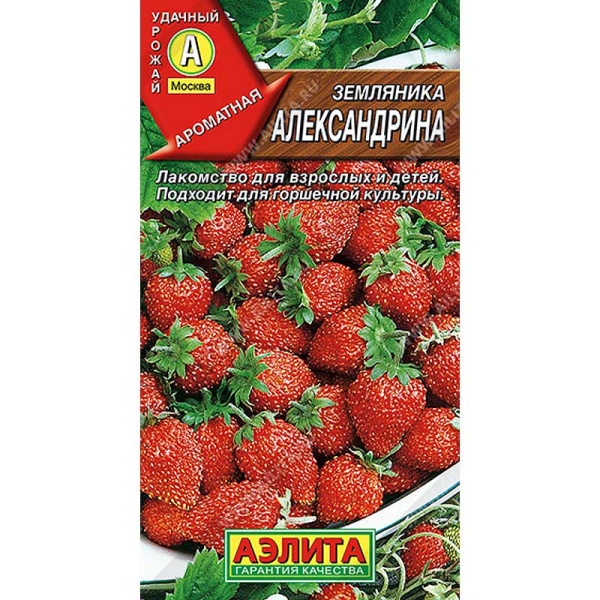 Семена Земляника Александрина 0,03г "Лидер" Аэлита Цх10