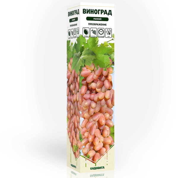 Виноград Преображение ранний Садовита