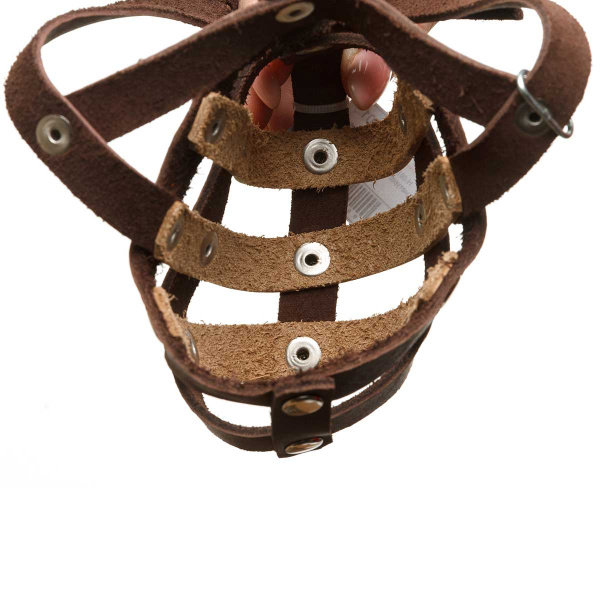 Намордник кожаный для собак средних пород