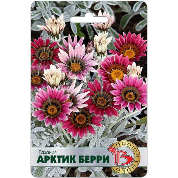 Газания Арктик Берри Биотехника Ц 