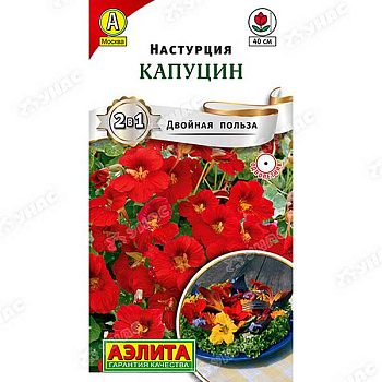Настурция Капуцин Аэлита Ц 