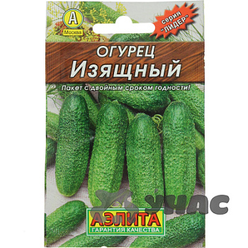 Огурец Изящный  "Лидер" Аэлита Ц