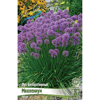 Лук Декоративный Миллениум I 1 шт 