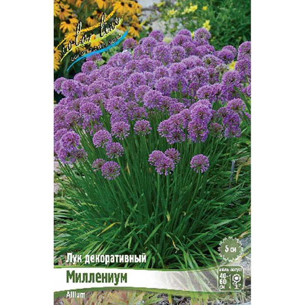 Лук Декоративный Миллениум I 1 шт 