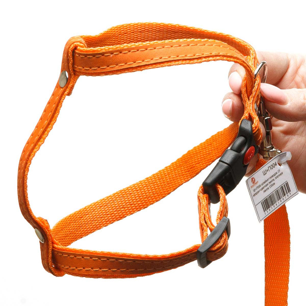 Шлейка+поводок капрон декоративная лента ширина 15 мм