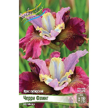 Ирис Сибирский Черри Флинг I 25 шт Биг-пак 9749