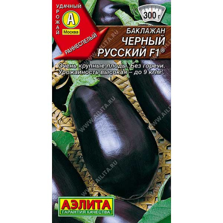 Баклажан Черный русский Аэлита Ц