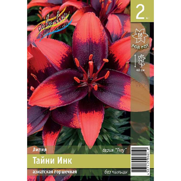 Лилия Тайни Инк 10/12 2 Эконом шт 