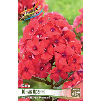 9846 Биг-Пак Флокс Юник Оранж I 50 шт 