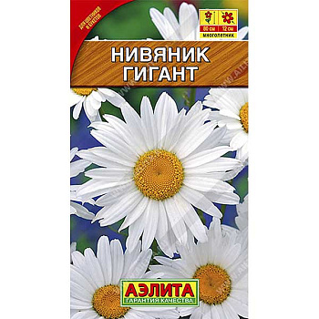 Нивяник Гигант крупноцв. Аэлита Ц 