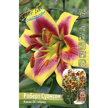 Лилия Роберт Суонсон 16/18 3 шт