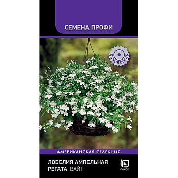 Лобелия Регата Вайт Поиск Ц 