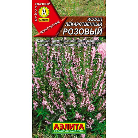 Иссоп лекарственный розовый Аэлита Ц