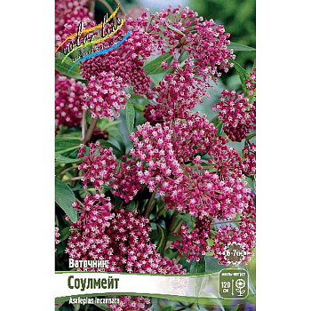 Ваточник Соулмейт I 25 шт Биг-Пак 31