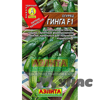 Огурец Гинга Аэлита Ц