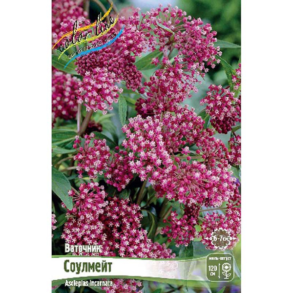 Ваточник Соулмейт I 1 шт