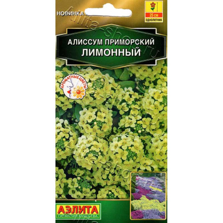Алиссум приморский Лимонный Аэлита Цх10 