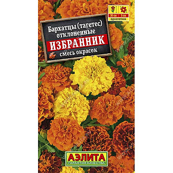 Бархатцы Избранник Аэлита Ц 