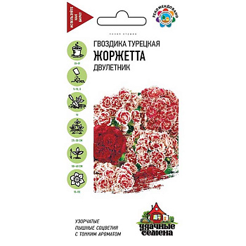Гвоздика турецкая Жоржетта Удач сем Гавриш Ц 