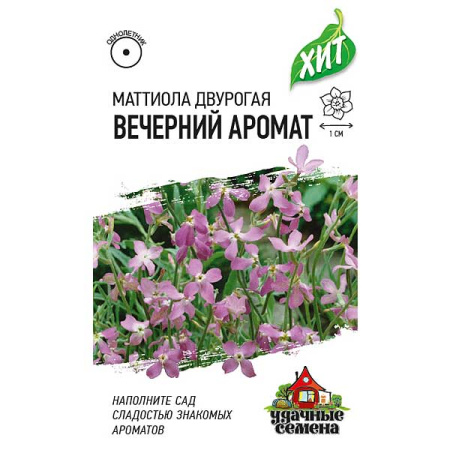 Маттиола Вечерний аромат (металл) Гавриш Цх10 