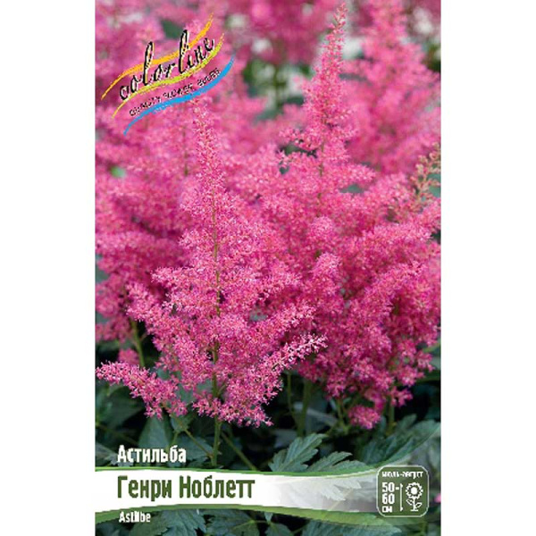 Астильба Генри Ноблетт 2/3 n 25 шт Биг-Пак 14852 