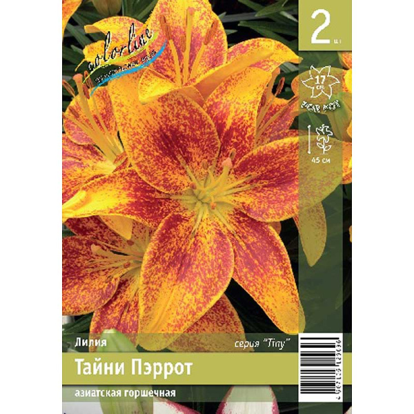 Лилия Тайни Пэррот 10/12 2 Эконом шт