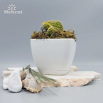 Горшок MEHRNI 0,2 л белый 102/7.5-1 х48 