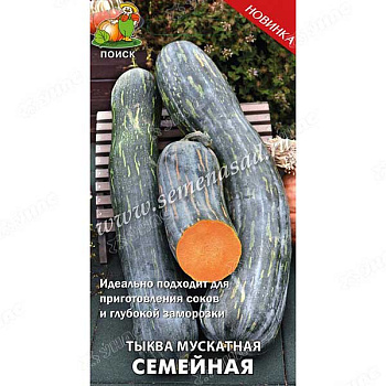 Тыква Семейная Поиск Ц