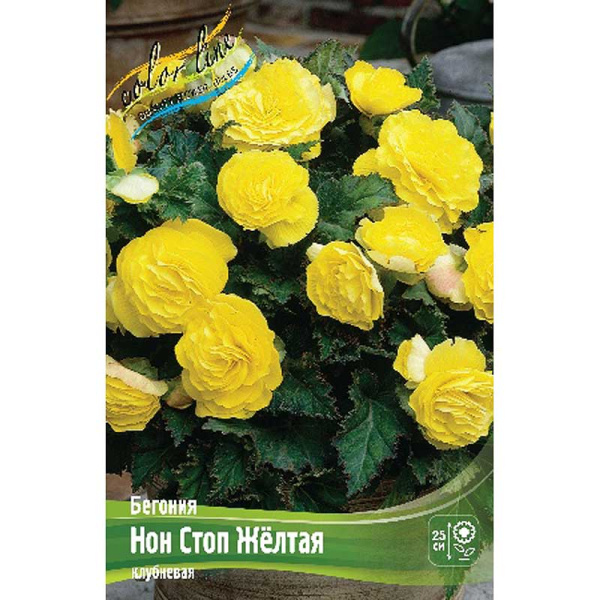 Бегония Нон Стоп Желтая 5/6 50 шт Шоу-Бокс 8855