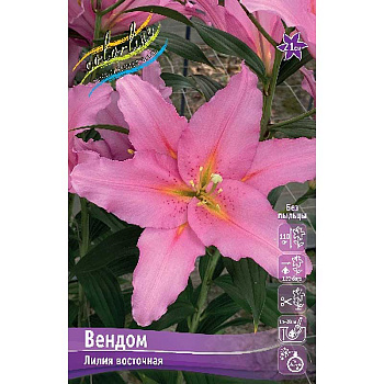 16202 Биг-Пак Лилия Вендом 14/16 25 шт