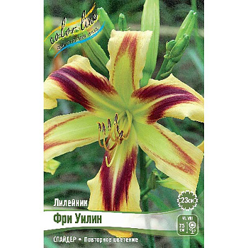 Лилейник Фри Уилин I 1 шт 