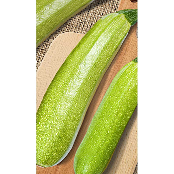 Кабачок Суха F1 5шт Sakata/Садовита Ц