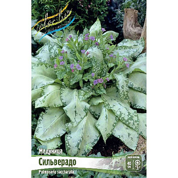 Медуница Сильверадо 2/3 n 25 шт Биг-Пак 4732